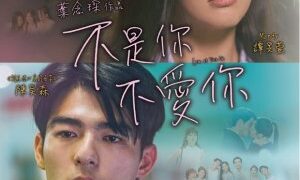 Akhir Kisah yang Klise di Film Love at First Lie