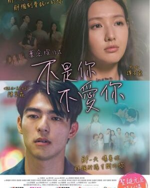 Akhir Kisah yang Klise di Film Love at First Lie