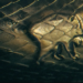 https://nutylaraswaty.com/review-beware-boiuna/